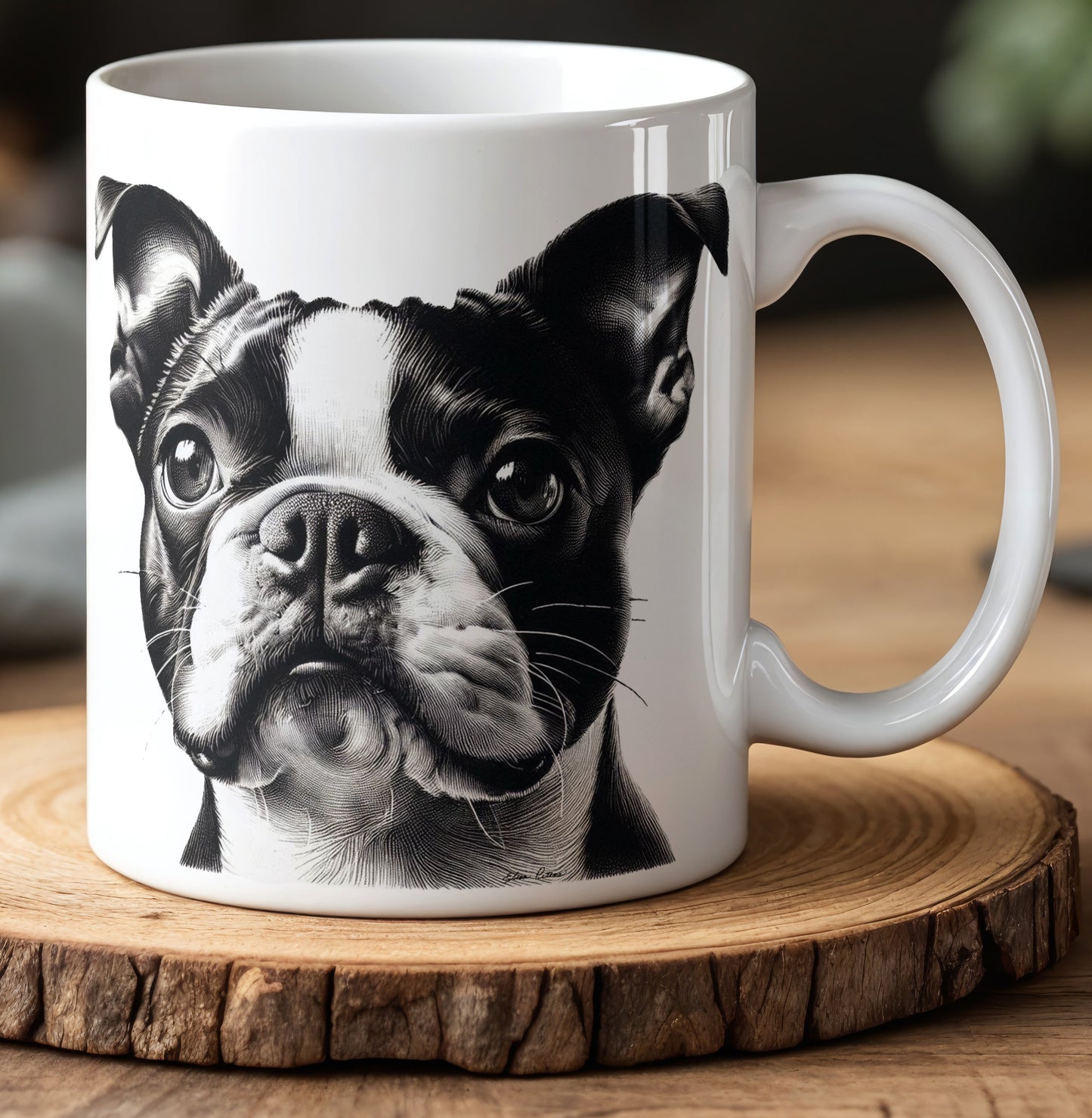Boston Terrier BT001