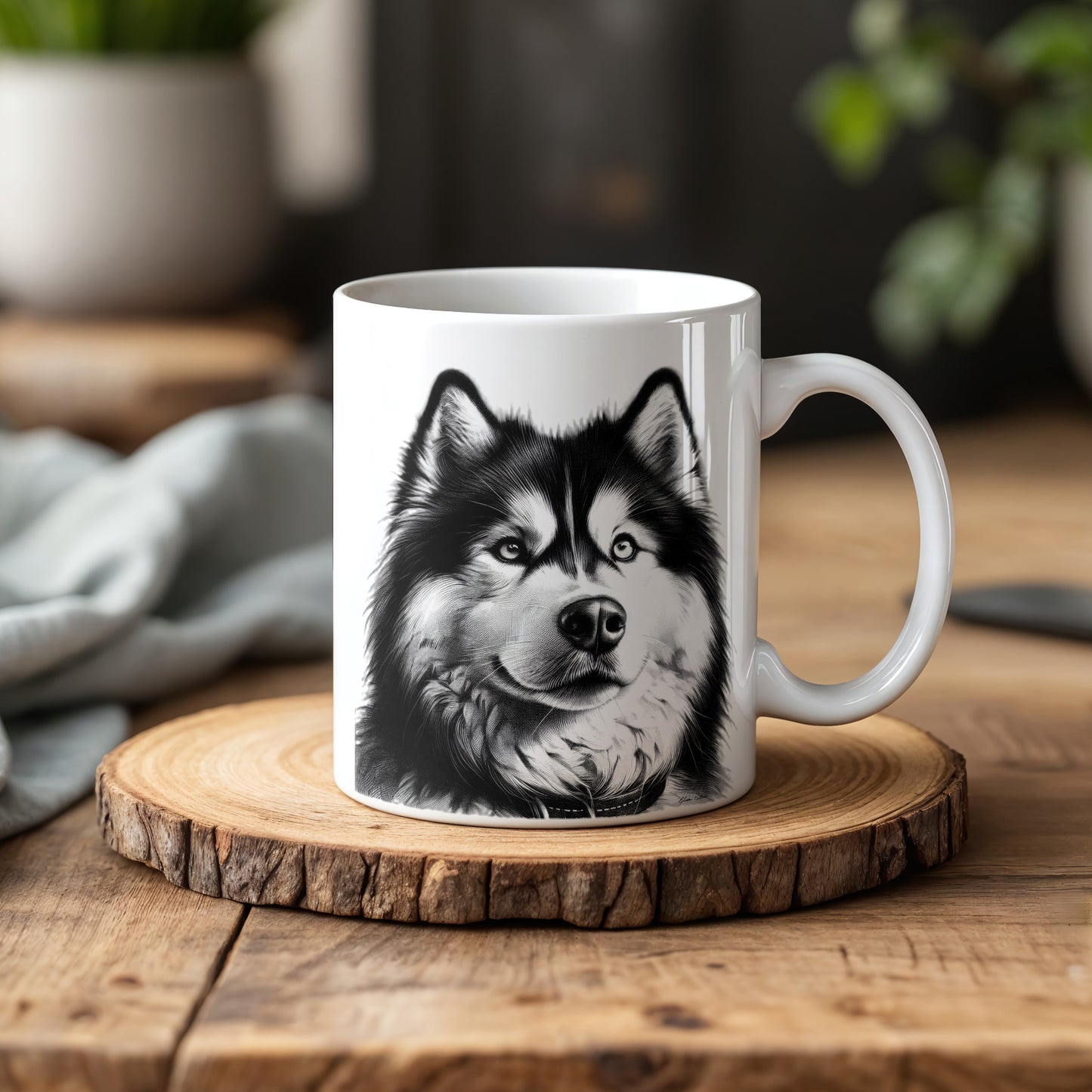 Siberian Husky SH002