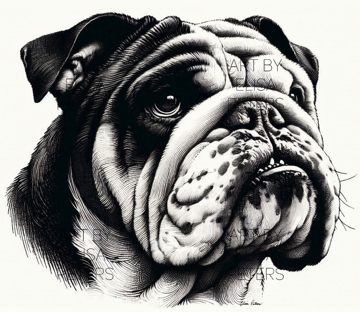 English Bulldog BD003
