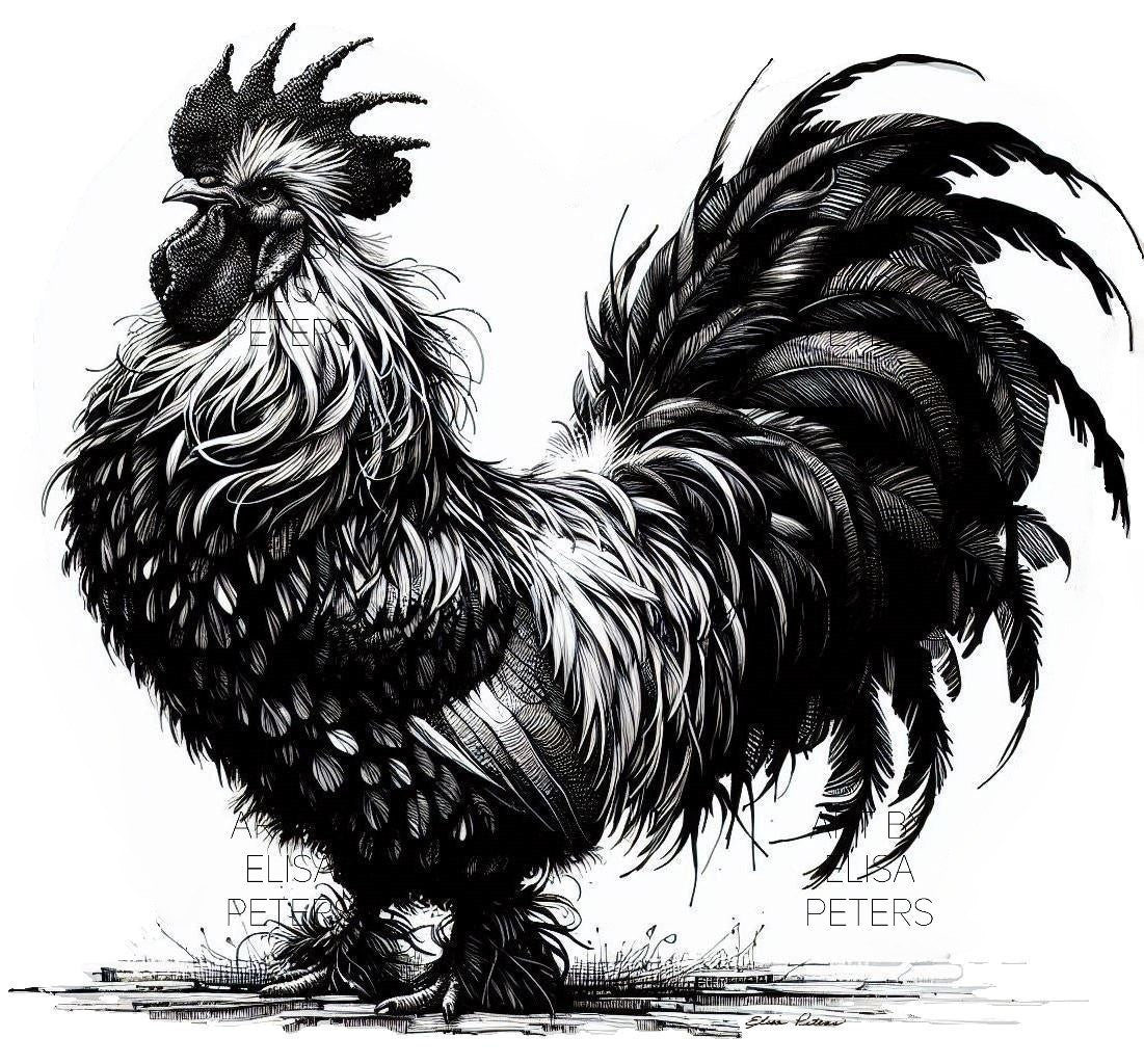 Chicken CHK008