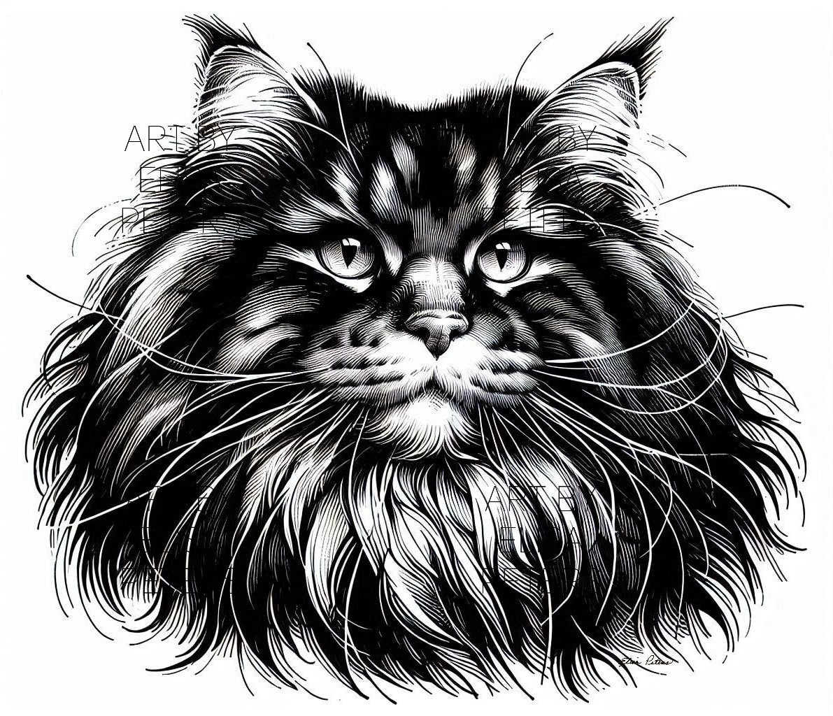 Cat CT004