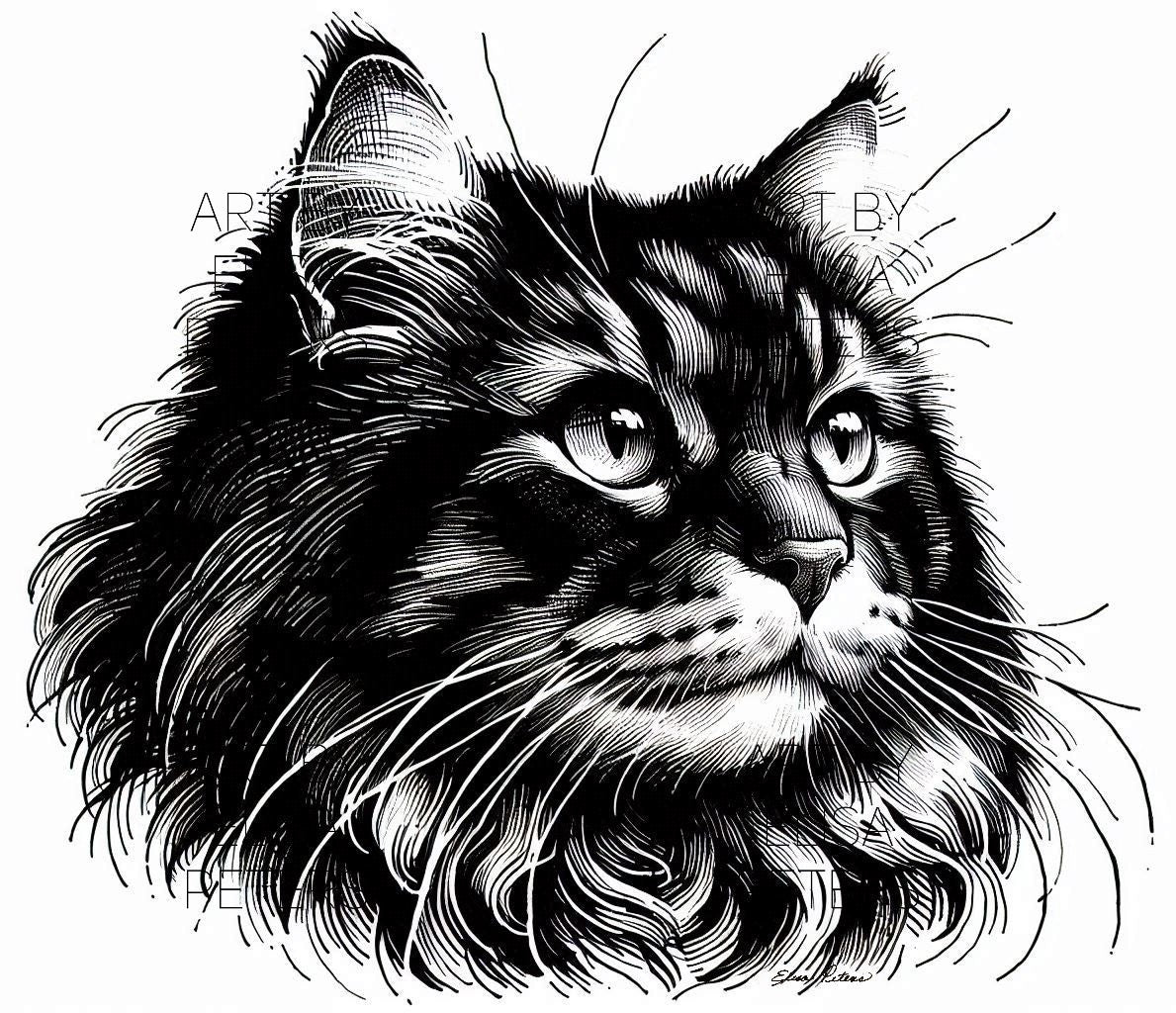 Cat CT009