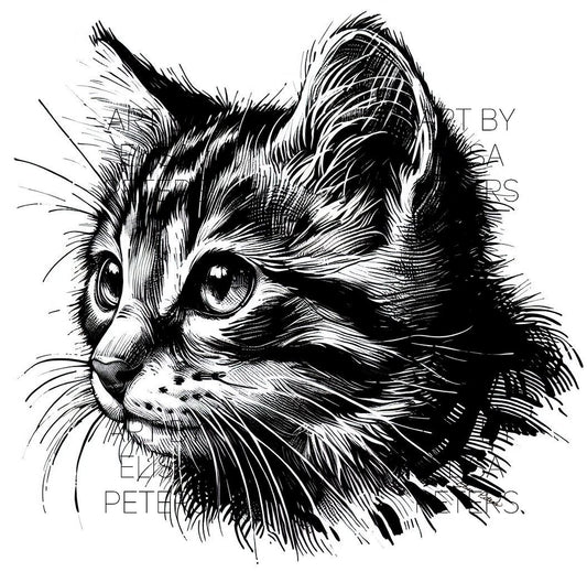 Kitten CT015
