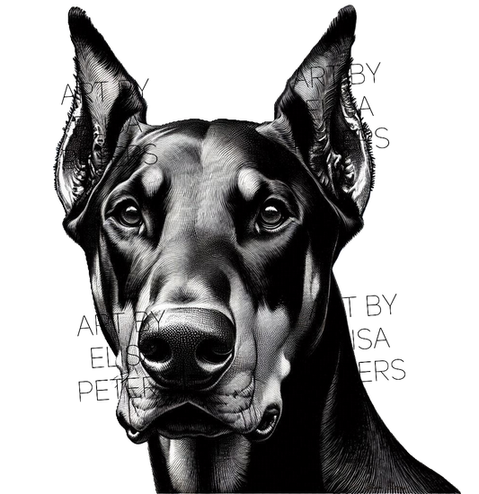Doberman DP005