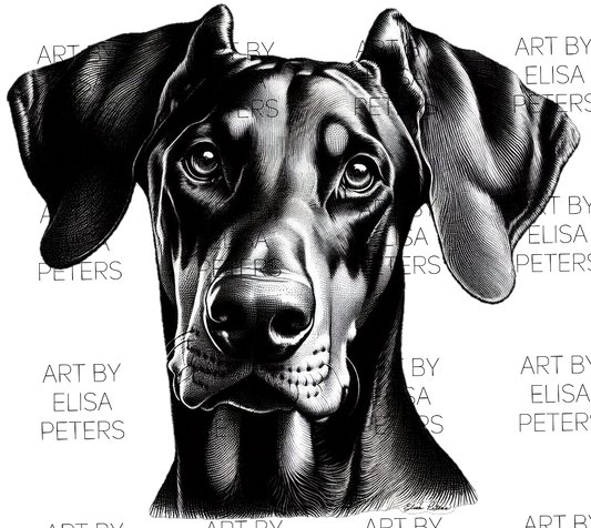 Doberman DP008