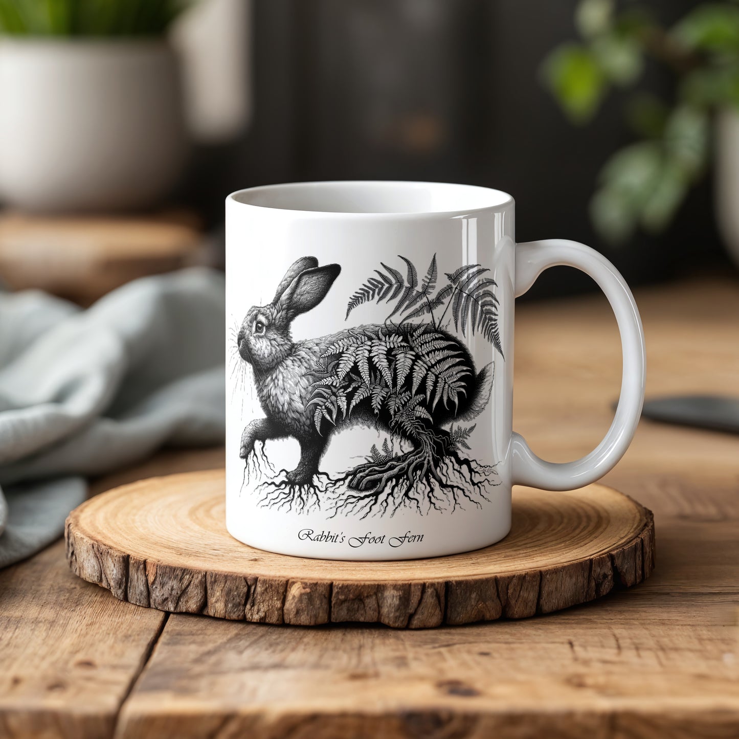 Rabbit's Foot Fern FAN002