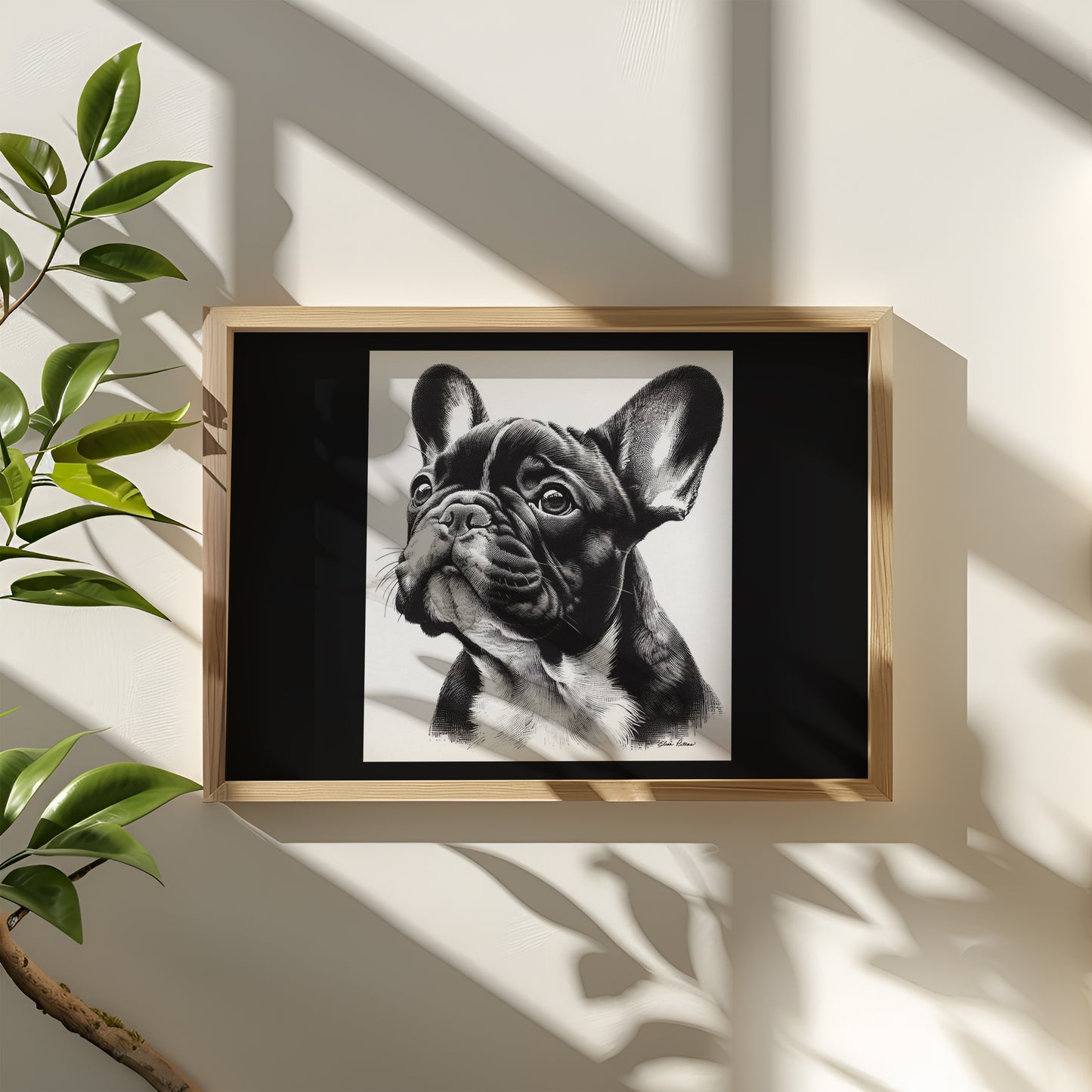 French Bulldog FR003