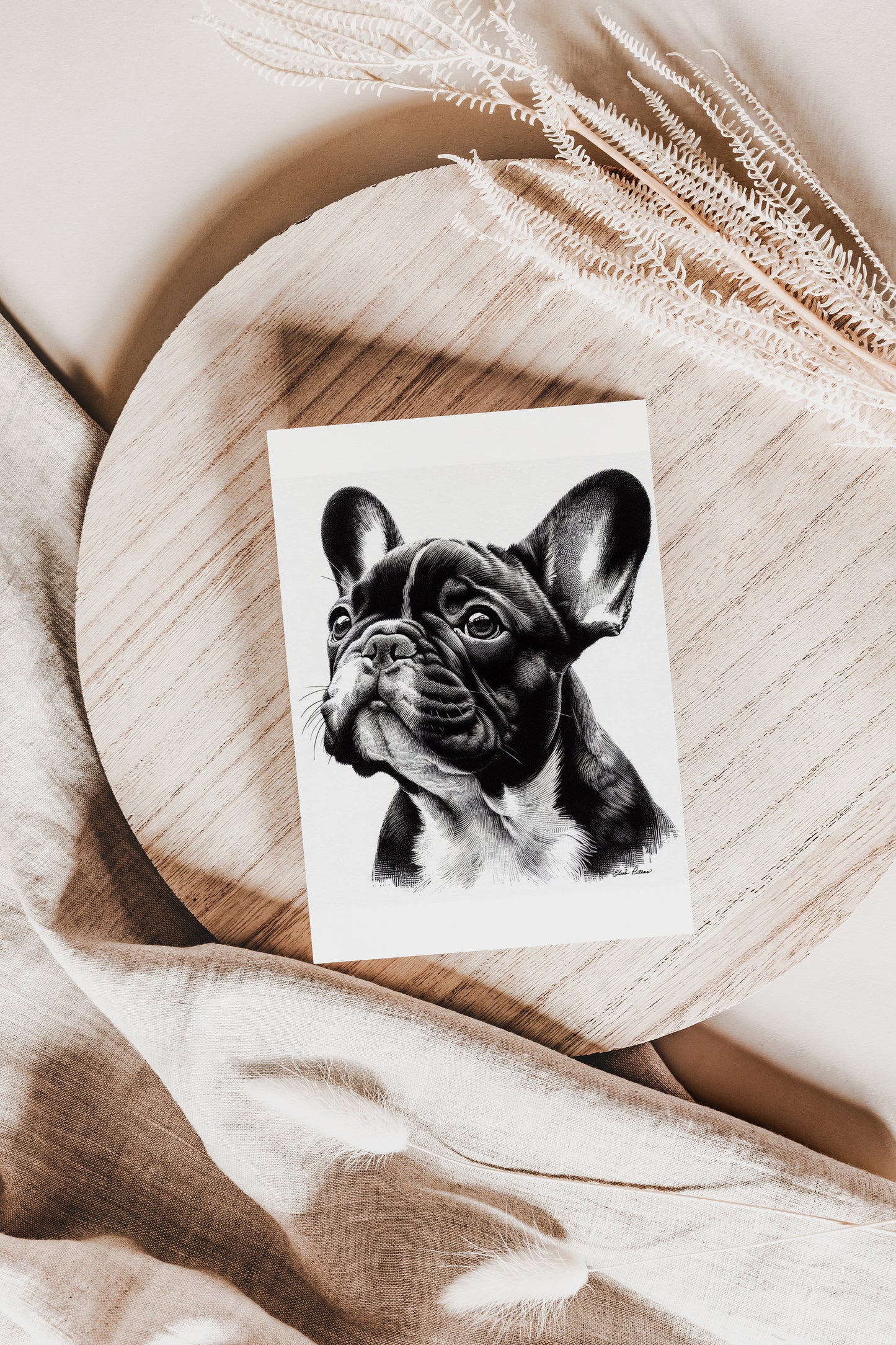 French Bulldog FR003