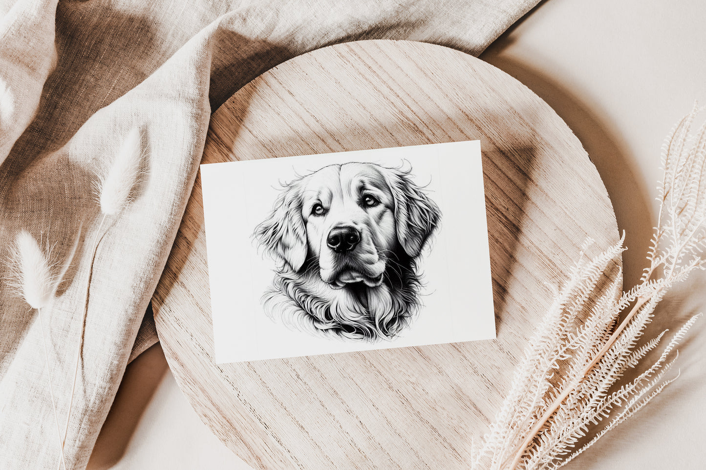 Golden Retriever GR023