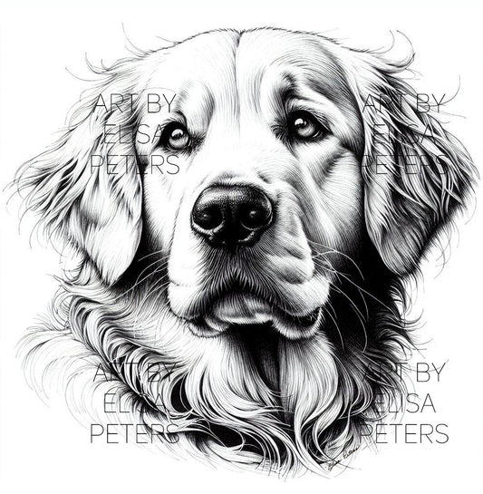 Golden Retriever GR023