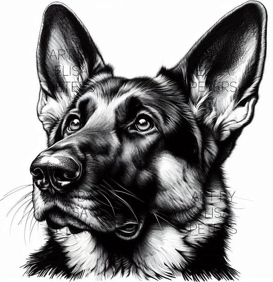 German Shepherd GS006
