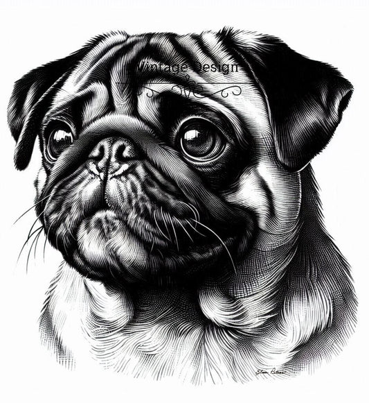 PUG PUG001