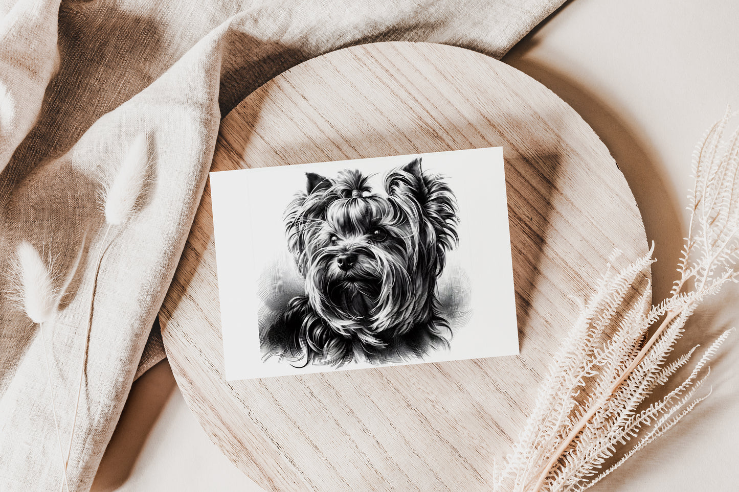 Yorkshire Terrier YK007