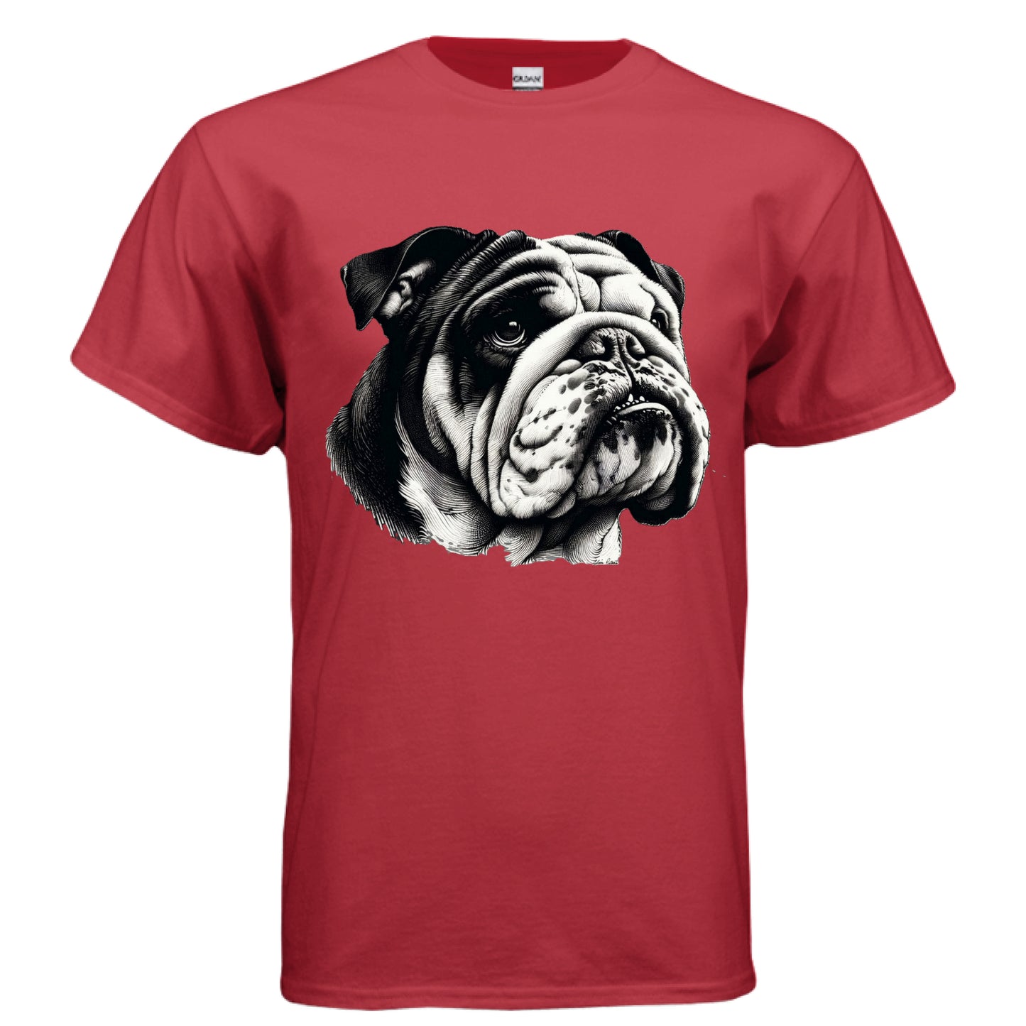 RED - FRONT