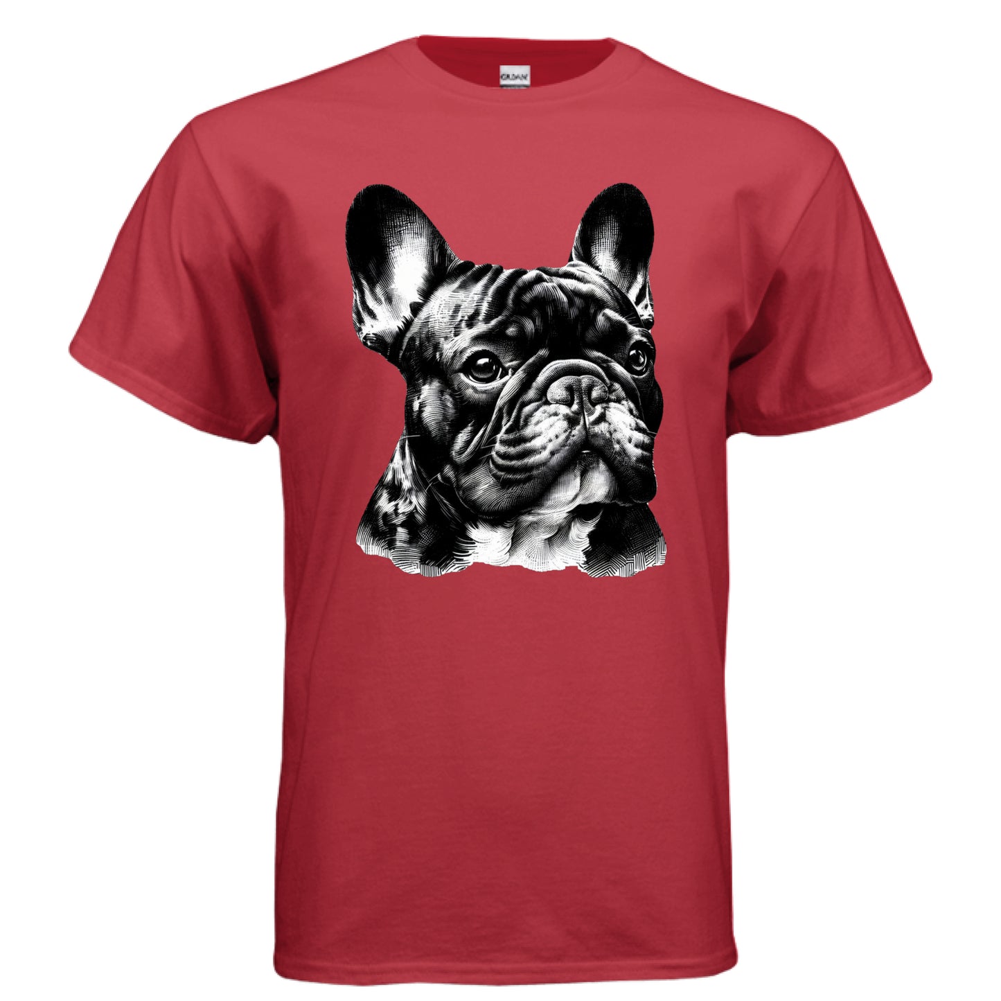 RED - FRONT