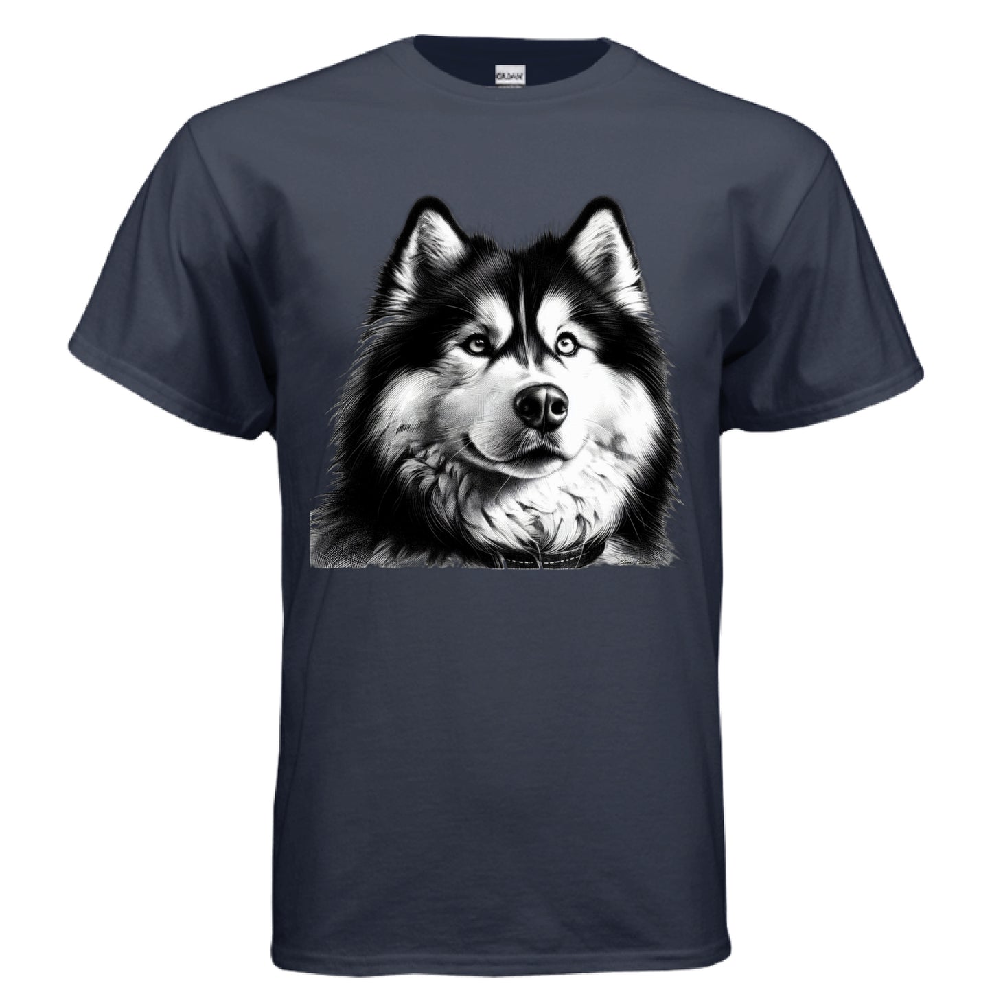NAVY - FRONT